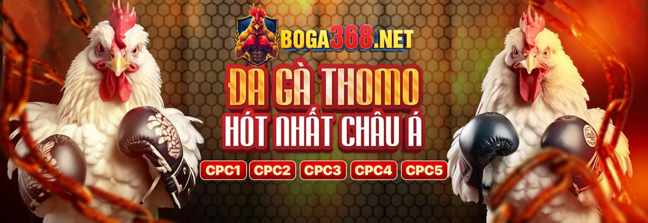 Những người đang thảo luận các câu hỏi thường gặp